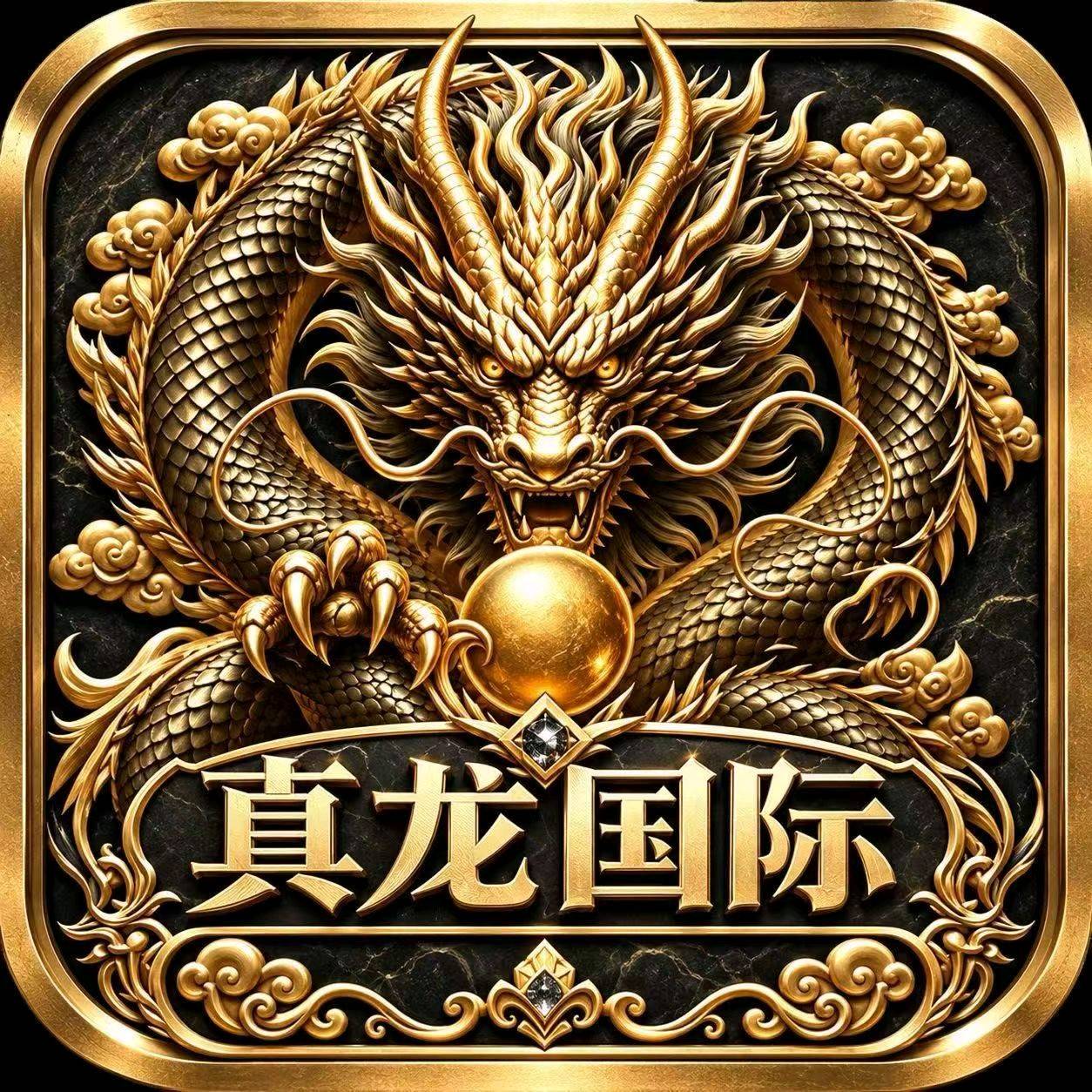 真龙国际